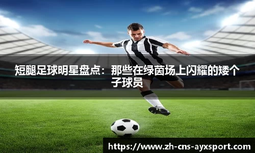 短腿足球明星盘点：那些在绿茵场上闪耀的矮个子球员